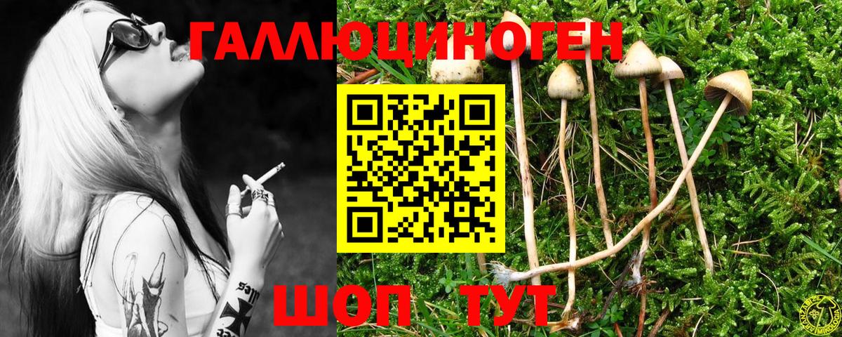 Галлюциногенные грибы прущие грибы Ржев