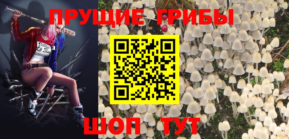 Псилоцибиновые грибы Magic Shrooms  Вход с VPN  наркошоп  Ржев 